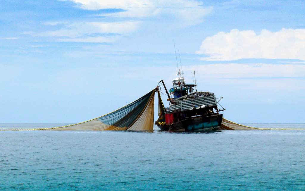 pesca destructiva