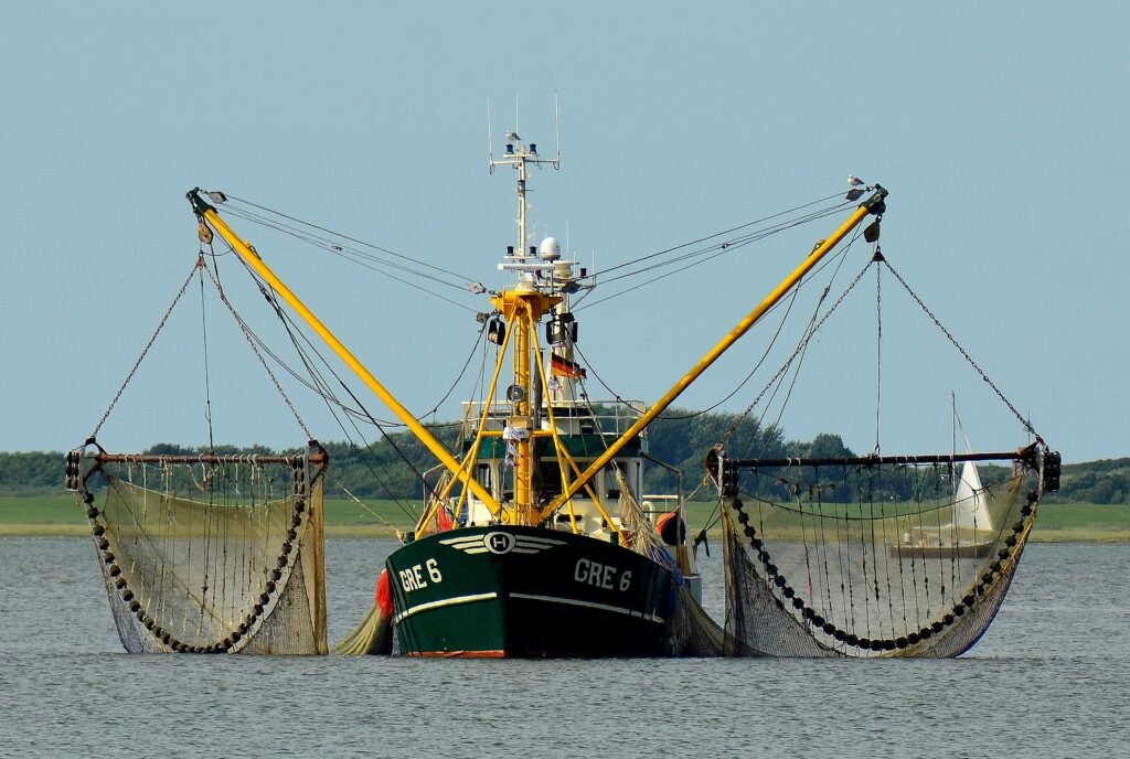pesca incidental o bycatch