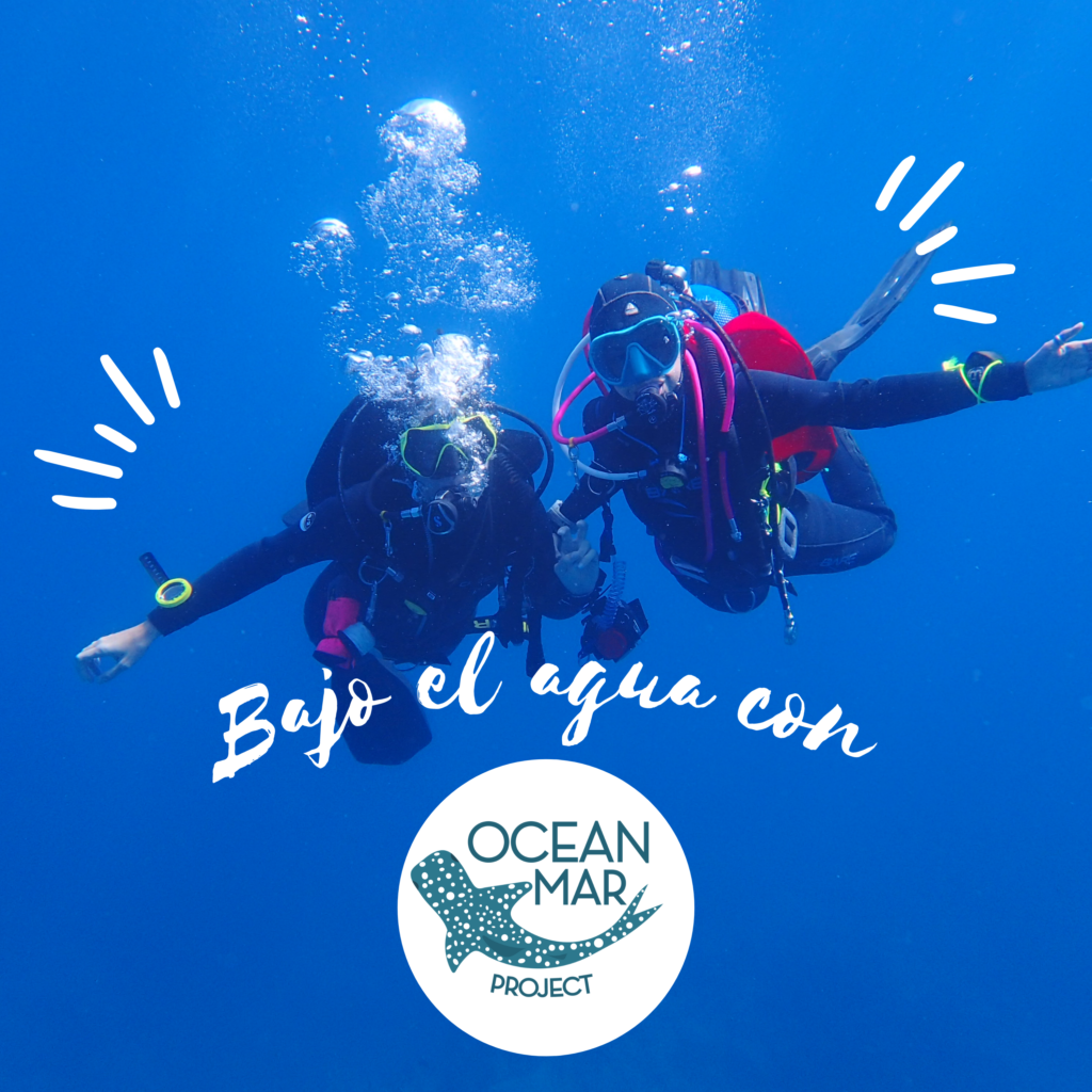 Bajo el agua con oceanmar project