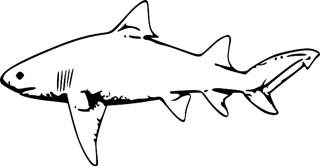 Diccionario marino